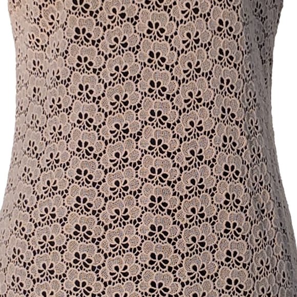 Diane Von Furstenberg/DVF Cindy Acorn Lace Sheath Dress in Stucco - Picture 6 of 8
